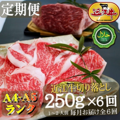 【毎月定期便】ハラル切り落とし250g×全6回