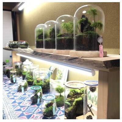 2名様用 寝屋川市で開催 苔テラリウム の体験教室 ノーマルコース ガラス容器小 お礼品詳細 ふるさと納税なら さとふる