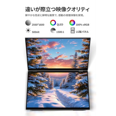 EHOMEWEI デュアルモニター モバイルモニター 2.5K 16インチ XQ-160NW