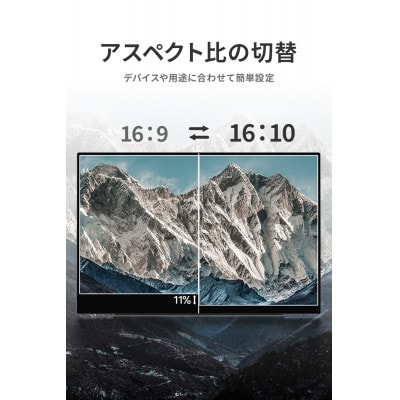 EHOMEWEI モバイルモニター IPS 16インチ FHD 非光沢 薄型 SP-160NF