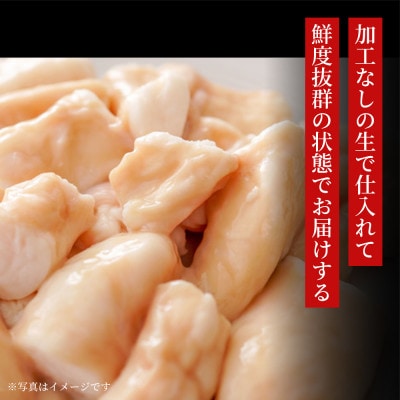 【贈り物にもおすすめ!】焼肉ホルモン富士 店舗チケット5000円 ×3枚