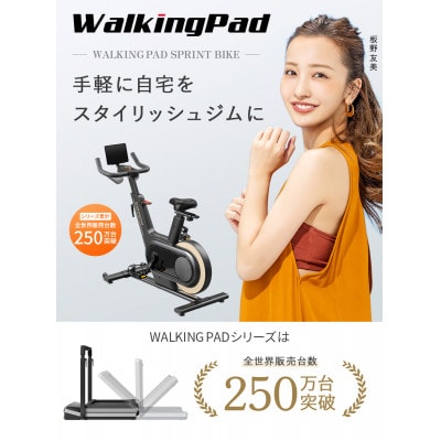 Walkingpad Sprint Bike エアロバイク 家庭用(ブラック)