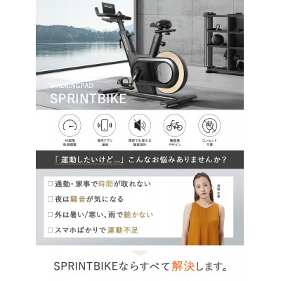 Walkingpad Sprint Bike エアロバイク 家庭用(ブラック)