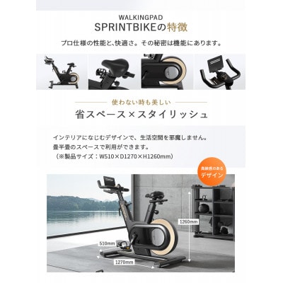 Walkingpad Sprint Bike エアロバイク 家庭用(ブラック)