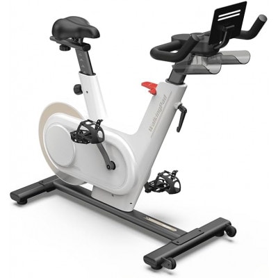 Walkingpad Sprint Bike エアロバイク 家庭用(ホワイト)