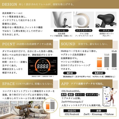 Walkingpad Sprint Bike エアロバイク 家庭用(ホワイト)
