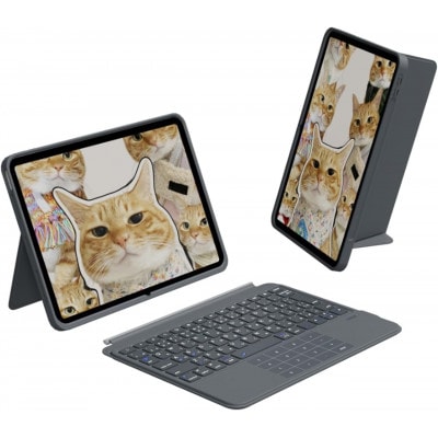 EWIN 一体型テンキー&タッチパッド iPad用キーボード付きケース EW-BK013 ブラック