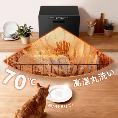 食洗機 工事不要 大容量 家庭用 2~5人用 31点 SAMKYO T60 ブラック