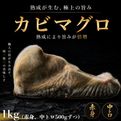 長期かび熟成　かびまぐろ　赤身・中とろ1kg　約500 g×2