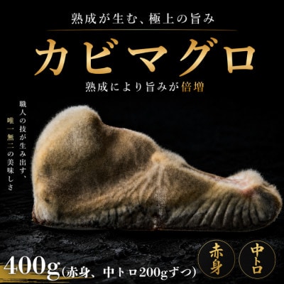 長期かび熟成　かびまぐろ　赤身・中とろ400g　約200g ×2
