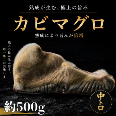 長期かび熟成　かびまぐろ中トロ約500g