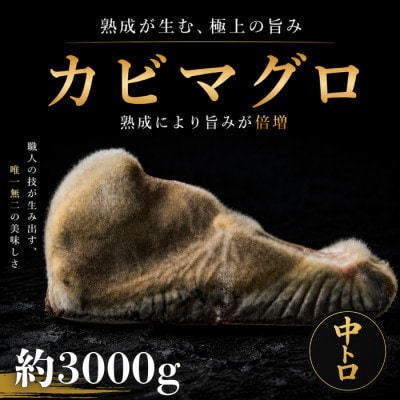 長期かび熟成　かびまぐろ中トロ約3000 g