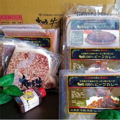 【2名様用】大田原牛　特上ロースステーキ2枚、ハンバーグ、カレー、シチュー、各2パックセット
