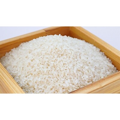 【令和元年産】 大田原産コシヒカリ 精米10kg
