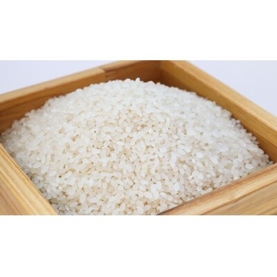 【令和6年産】大田原産コシヒカリ　精米10kg