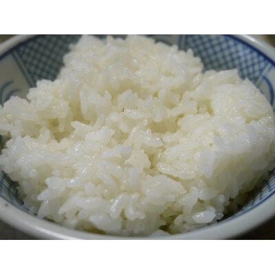 【令和6年産】大田原産コシヒカリ　精米10kg