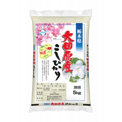 【令和6年産】大田原産コシヒカリ　精米5kg