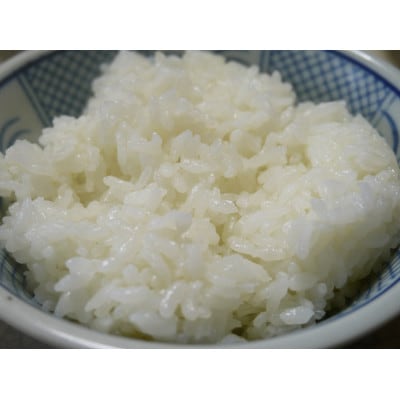 【令和6年産】大田原産コシヒカリ　精米5kg