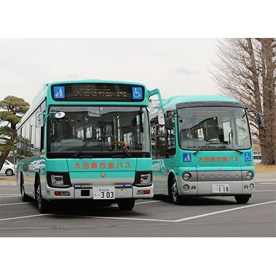大田原市営バス 市内限定定期券 大人(3ヶ月)