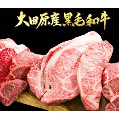 栃木県大田原産黒毛和牛ロース ステーキ用  180g×2枚