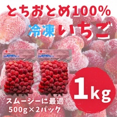 【スムージー専用・かんたんジャム専用】冷凍いちごとちおとめフレッシュフローズン(500g&times;2袋)