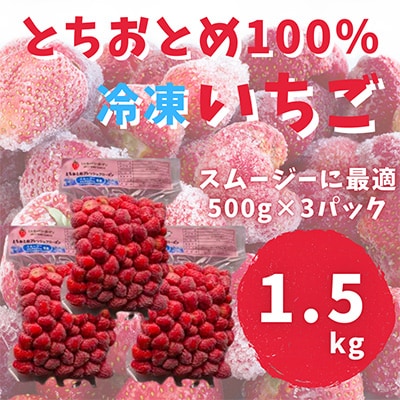 【スムージー専用・かんたんジャム専用】冷凍いちごとちおとめフレッシュフローズン(500g×3袋)