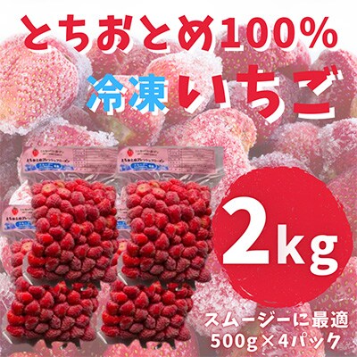【スムージー専用・かんたんジャム専用】冷凍いちごとちおとめフレッシュフローズン(500g×4袋)