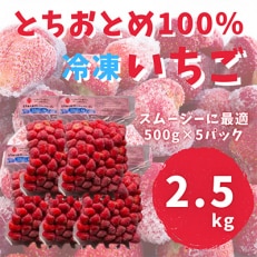 【スムージー専用・かんたんジャム専用】冷凍いちごとちおとめフレッシュフローズン(500g&times;5袋)