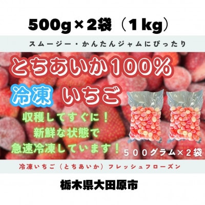 【スムージー・かんたんジャムにぴったり】冷凍いちごとちあいかフレッシュフローズン(500g×2袋)
