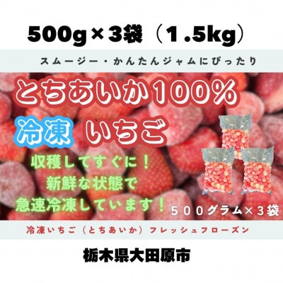 【スムージー・かんたんジャムにぴったり】冷凍いちごとちあいかフレッシュフローズン(500g×3袋)