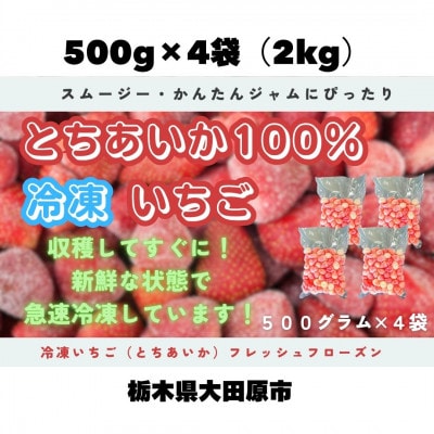 【スムージー・かんたんジャムにぴったり】冷凍いちごとちあいかフレッシュフローズン(500g×4袋)