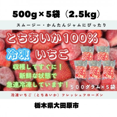 【スムージー・かんたんジャムにぴったり】冷凍いちごとちあいかフレッシュフローズン(500g×5袋)