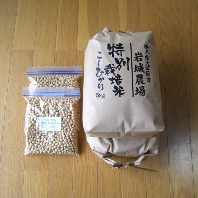 大田原市 大豆ごはんセット(特別栽培米コシヒカリ無洗米5kg×2・特別栽培大豆 500g×2)