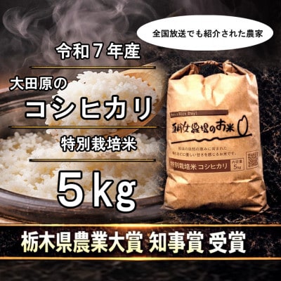 栃木県大田原産コシヒカリ 白米5kg|特別栽培米|栃木県農業大賞知事賞受賞農家