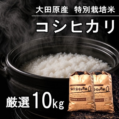 栃木県大田原産コシヒカリ 白米10kg|特別栽培米|栃木県農業大賞知事賞受賞農家