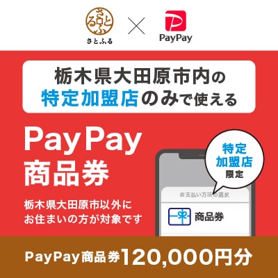 栃木県大田原市　PayPay商品券(120,000円分)※地域内の一部の加盟店のみで利用可