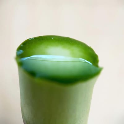 【7月発送】那須の麓の朝採りアスパラガス　並サイズ1,000g