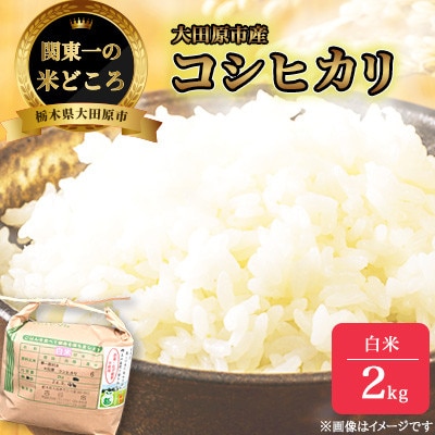 【令和7年産新米 数量限定】古谷農産 栽培期間中農薬・化学肥料不使用 コシヒカリ 精米 2kg