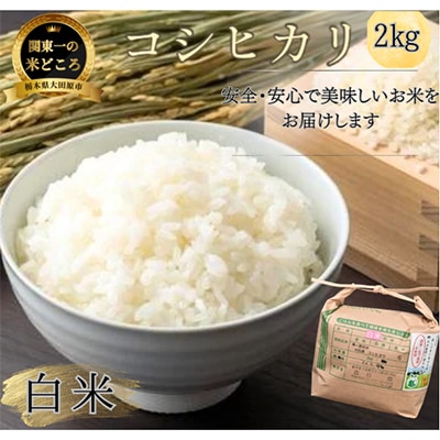 【令和7年産新米 数量限定】古谷農産 栽培期間中農薬・化学肥料不使用 コシヒカリ 精米 2kg