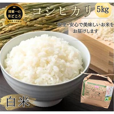 【令和7年産新米 数量限定】古谷農産 栽培期間中農薬・化学肥料不使用 コシヒカリ 精米 5kg | ふるさと納税のお礼品