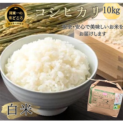【令和7年産新米 数量限定】古谷農産 栽培期間中農薬・化学肥料不使用 コシヒカリ 精米 10kg