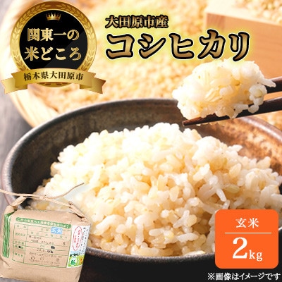 【令和7年産新米 数量限定】古谷農産 栽培期間中農薬・化学肥料不使用 コシヒカリ 玄米 2kg