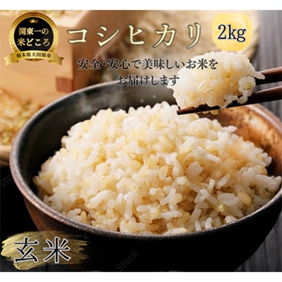 【令和7年産新米 数量限定】古谷農産 栽培期間中農薬・化学肥料不使用 コシヒカリ 玄米 2kg