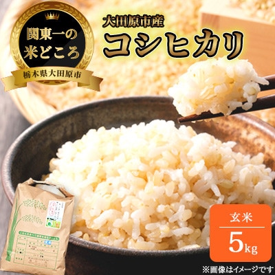 【令和7年産新米 数量限定】古谷農産 栽培期間中農薬・化学肥料不使用 コシヒカリ 玄米 5kg