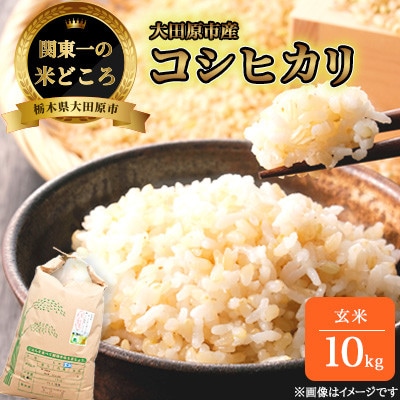 【令和7年産新米 数量限定】古谷農産 栽培期間中農薬・化学肥料不使用 コシヒカリ 玄米 10kg