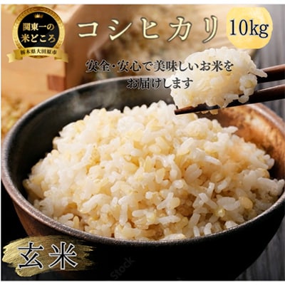 【令和7年産新米 数量限定】古谷農産 栽培期間中農薬・化学肥料不使用 コシヒカリ 玄米 10kg