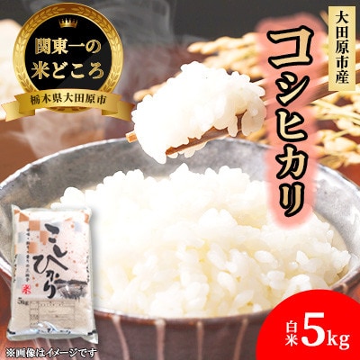 �y�ߘa7�N�Y�V�� ���ʌ���z�Ȗ،���c���s�Y ���cfarm�̃R�V�q�J�� ���� 5kg