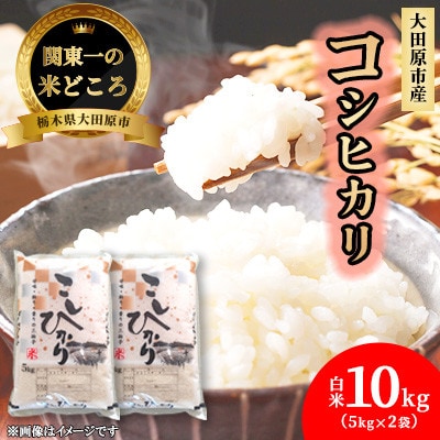 �y�ߘa7�N�Y�V�� ���ʌ���z�Ȗ،���c���s�Y ���cfarm�̃R�V�q�J������10kg(5kg×2��)