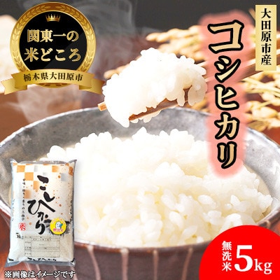 【令和7年産新米 数量限定】栃木県大田原市産 藤田farmのコシヒカリ 無洗米 5kg
