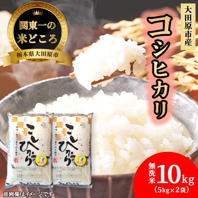 【令和7年産新米 数量限定】栃木県大田原市産 藤田farmのコシヒカリ無洗米10kg(5kg×2袋)